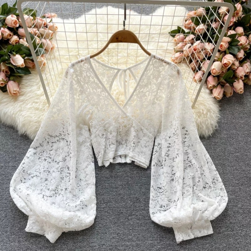💕HP💕 Lantern Sleeve Lace Long Sleeve Crop Top Size S